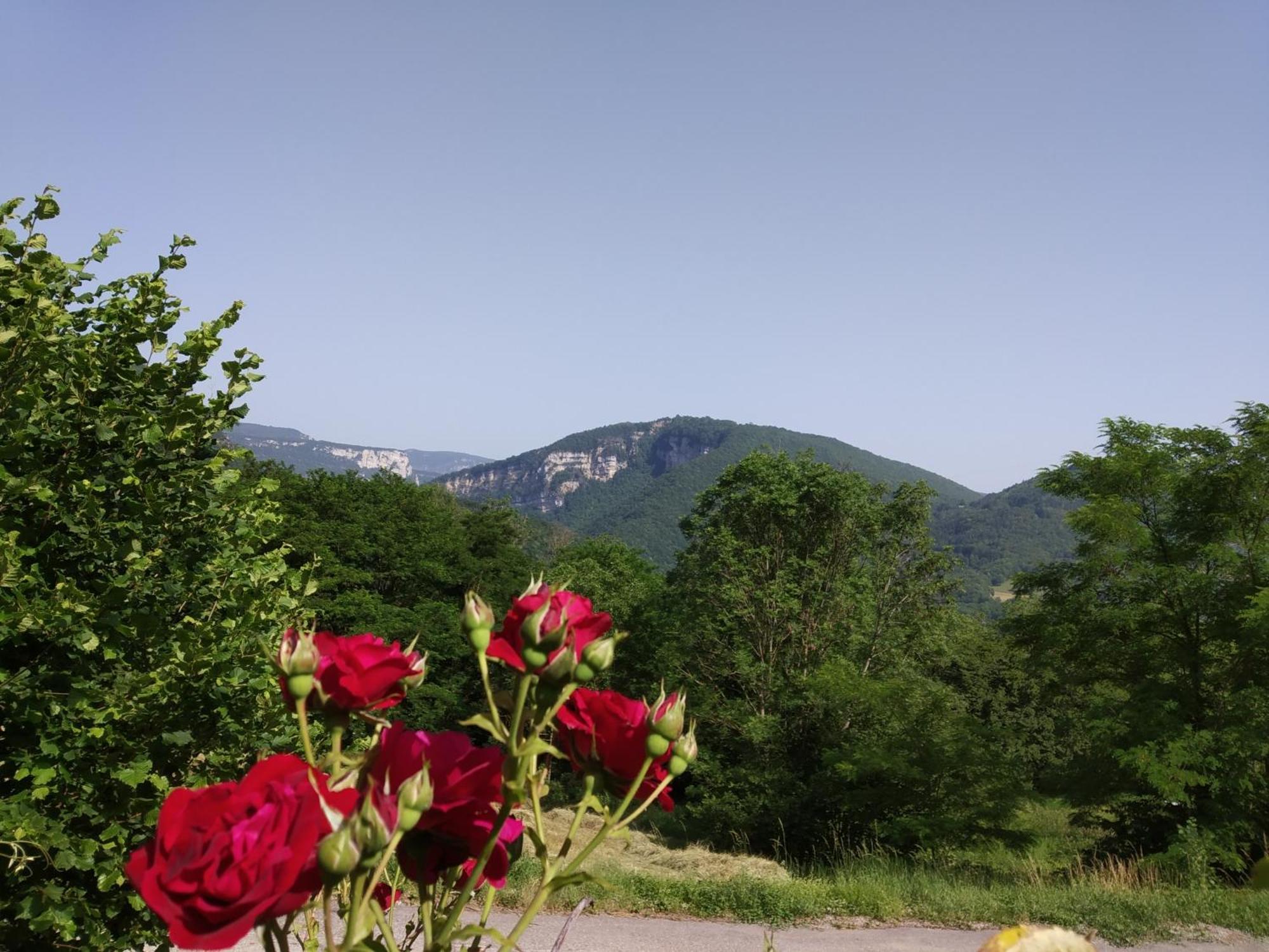 Au Chalet D'Anna Saint-Rambert-en-Bugey 외부 사진