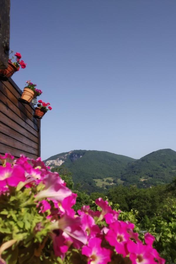 Au Chalet D'Anna Saint-Rambert-en-Bugey 외부 사진